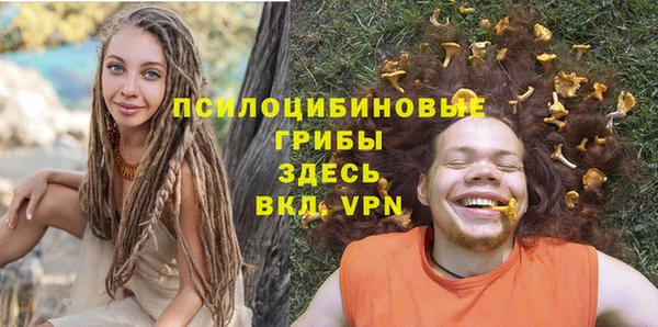 mdpv Арсеньев