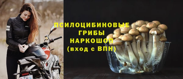 mdpv Арсеньев